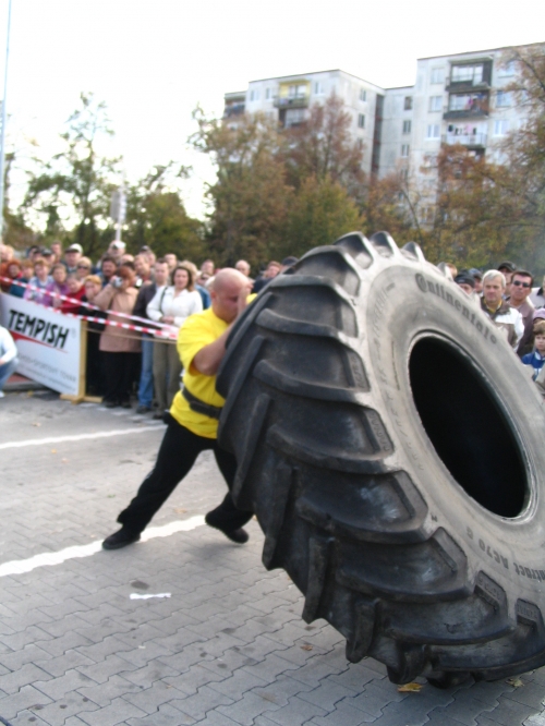 Atraktívna disciplína s pneumatikou   (takmer 300 kg)