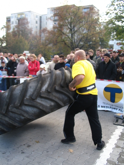 Atraktívna disciplína s pneumatikou   (takmer 300 kg)