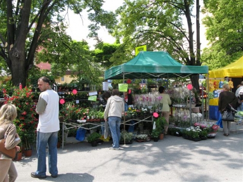 Staroturiansky jarmok  (12. a 13. 6. 2009) 