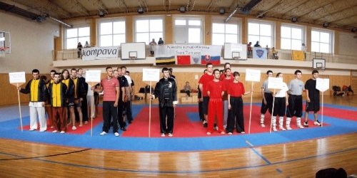 Národný Turnaj vo Wushu Stará Turá 2010 (1.mája 2010)