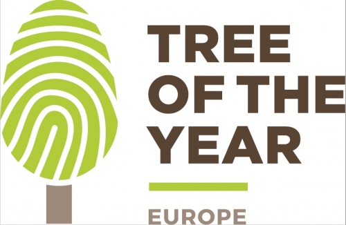 201802151143260.logo-tree-of-the-year
