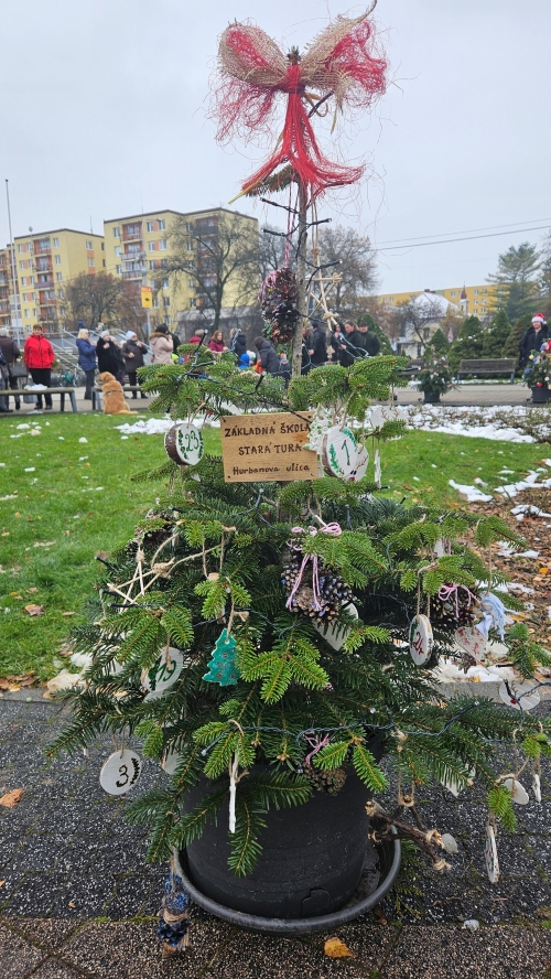 Na Námestí  slobody sa v piatok 1.decembra zdobili stromčeky