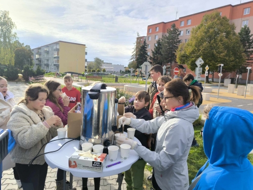 Kvetinová výsadba na detskom dopravnom ihrisku - Výsledok skvelej spolupráce