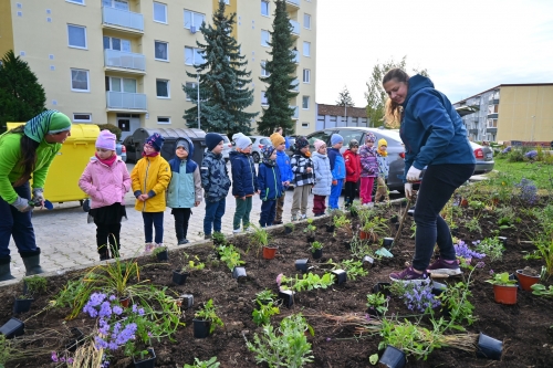 Kvetinová výsadba na detskom dopravnom ihrisku - Výsledok skvelej spolupráce