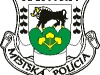 Mestská polícia: „Snažíme sa znížiť počet priestupkov súvisiacich s chovom psov.“