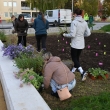 Kvetinová výsadba na detskom dopravnom ihrisku - Výsledok skvelej spolupráce