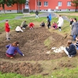 Kvetinová výsadba na detskom dopravnom ihrisku - Výsledok skvelej spolupráce