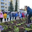 Kvetinová výsadba na detskom dopravnom ihrisku - Výsledok skvelej spolupráce